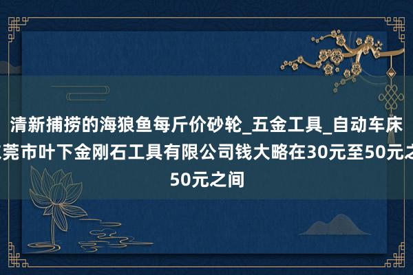 清新捕捞的海狼鱼每斤价砂轮_五金工具_自动车床_东莞市叶下金刚石工具有限公司钱大略在30元至50元之间